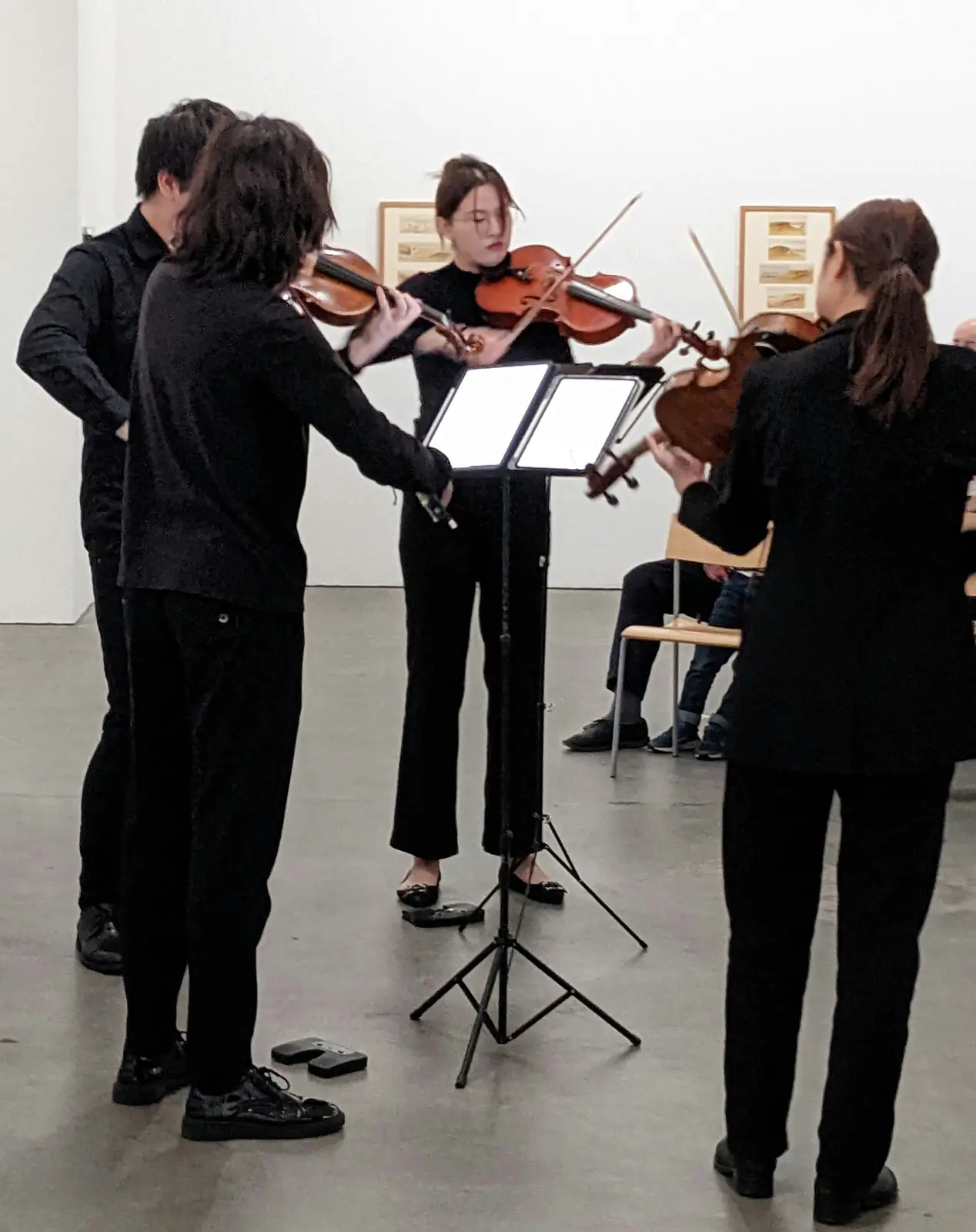 Orquestra de corda