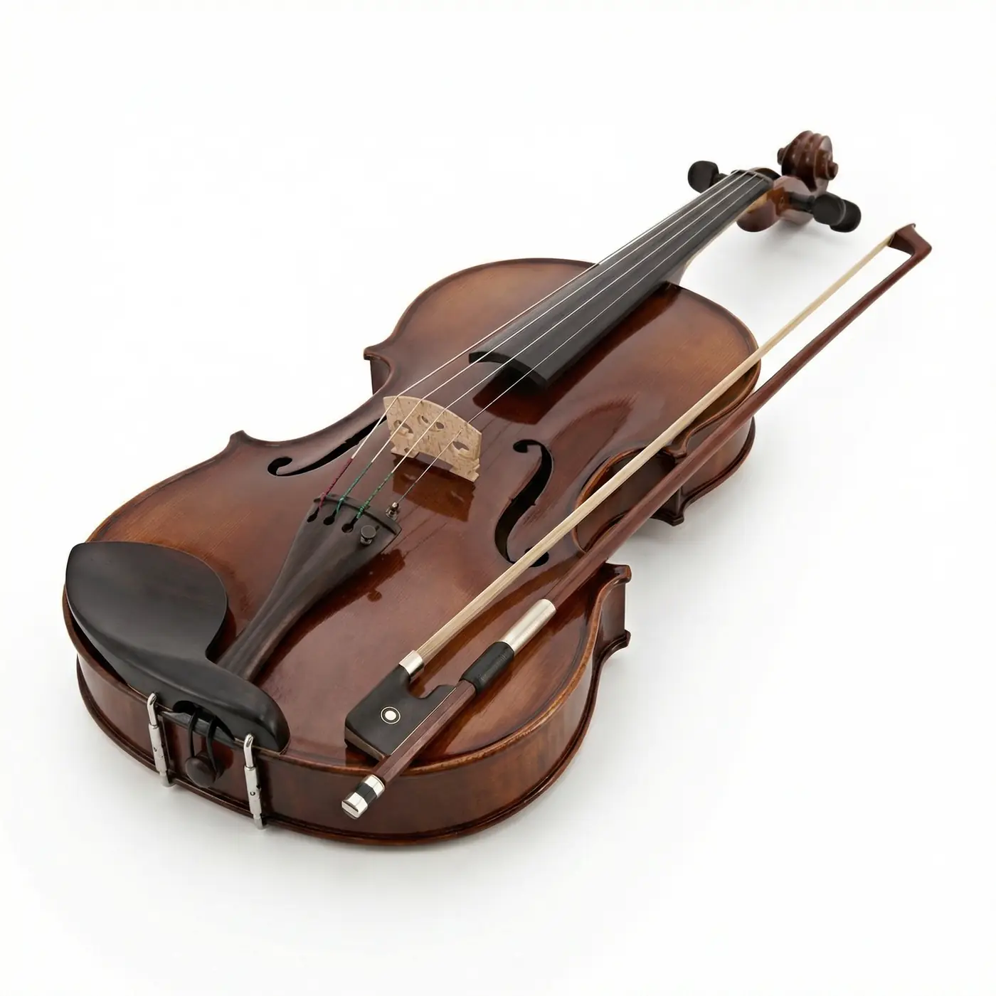 Viola